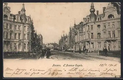 AK Anvers, L`Avenue Cogels