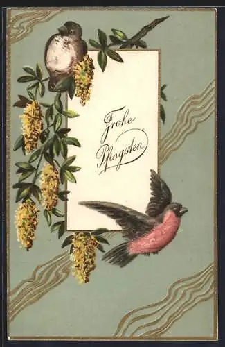 Präge-AK Vögel auf blühenden Zweigen bringen Pfingstgrüsse, Jugendstil