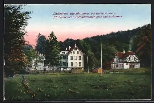AK Blechhammer bei Kaiserslautern, Hotel am Waldrand
