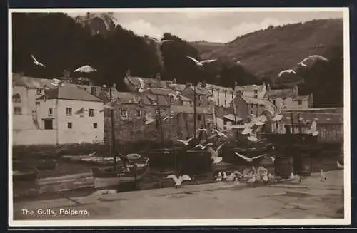 AK Polperro, The Gulls