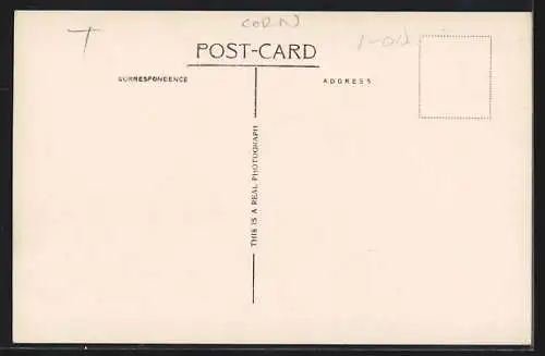 AK Polperro, The Gulls