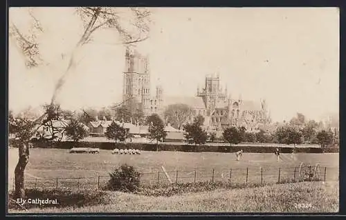 AK Ely, Cathedral