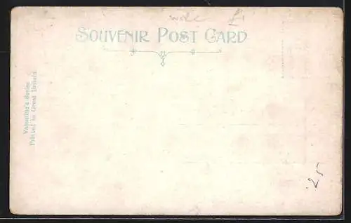 AK Salwarpe, Court