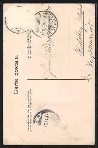 AK Basel, Münster, Spalentor, Marktplatz, Jacobsdenkmal, Strassburger Denkmal, Wettsteinbrücke