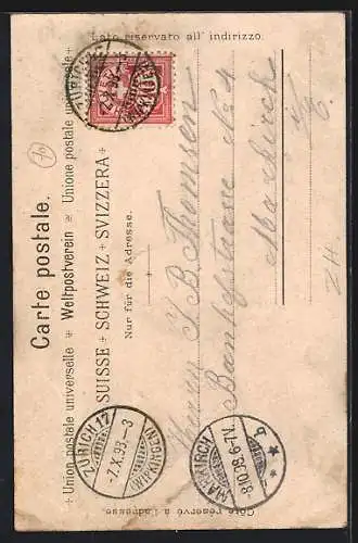 Lithographie Zürich, Panoramablick in die Berge