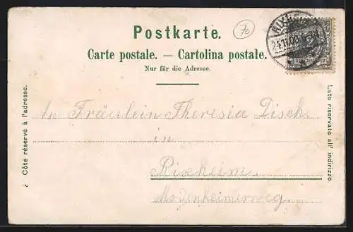 Lithographie Basel, St. Elisabethkirche, Modehaus Julius Brann, Panorama um 1900