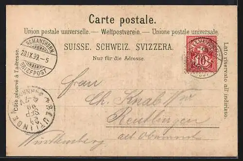 AK Romanshorn, Schloss und Kirche mit Ruderpartie