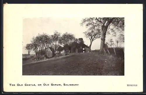 AK Salisbury, Old Sarum, The Old Castle