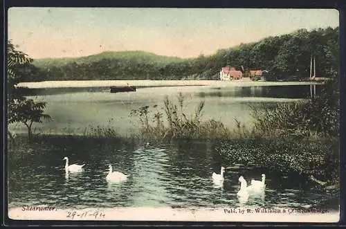 AK Shearwater, Panorama