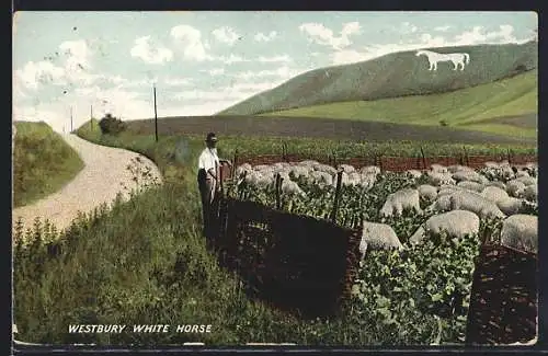 AK Westbury, White Horse