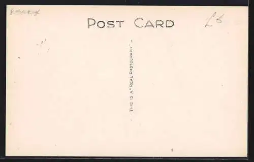 AK Dunmow, Doctor`s Pond