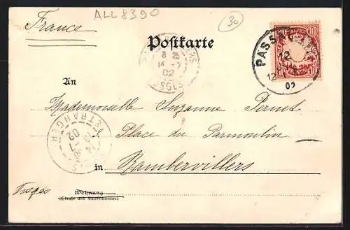 AK Passau, Gesamtansicht v. d. Ries