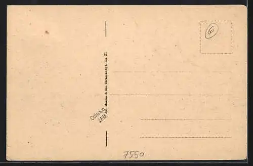 AK Rastatt, Rathaus und Alexisbrunnen