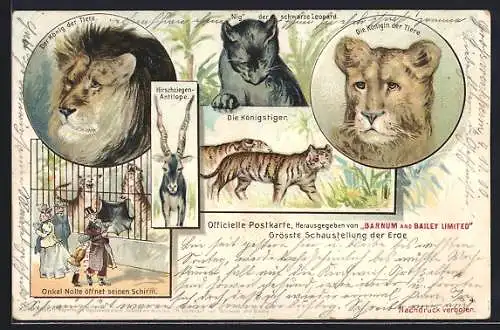 Lithographie Barnum and Bailey, König der Tiere, schwarzer Leopard, Königstigerm Onkel Nolte