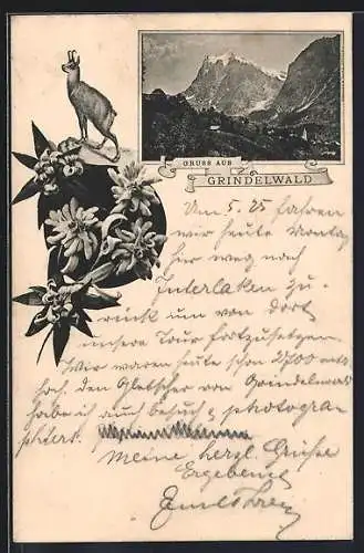 Vorläufer-AK Grindelwald, 1894, Gebirgspanorama im Passepartout mit Gemse und Edelweiss