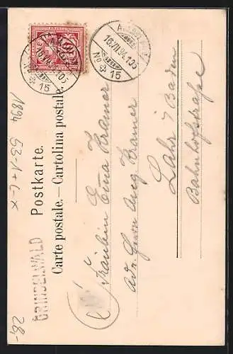 Vorläufer-AK Grindelwald, 1894, Gebirgspanorama im Passepartout mit Gemse und Edelweiss