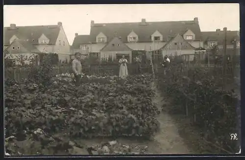 Foto-AK Berlin-Staaken, Hinterhausgärten der Gartenstadt, 1918