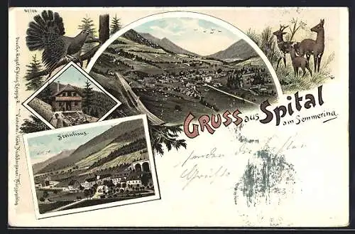 Lithographie Spital am Semmering, Steinhaus, Berghütte, Totalansicht
