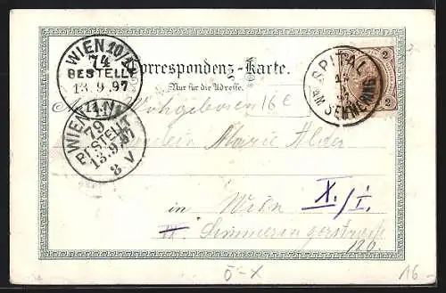 Lithographie Spital am Semmering, Steinhaus, Berghütte, Totalansicht