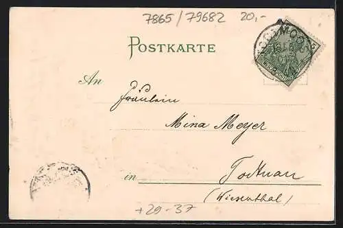Passepartout-Lithographie Todtmoos, Ortsansicht aus der Vogelschau, Wappen