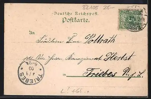 Lithographie Bad Salzuflen, Hoffmann`s Stärkefabriken, Bahnanlagen an Contor-Gebäude und Wohnhaus, Reislager