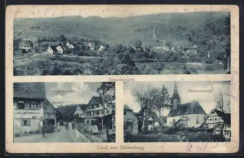 AK Steinenberg, Gesamtansicht, Lammpartie, Kirchenpartie