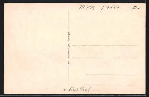AK Meersburg am Bodensee, Gasthof zum letzten Heller, Bes. J. Schauber, Ortsansicht