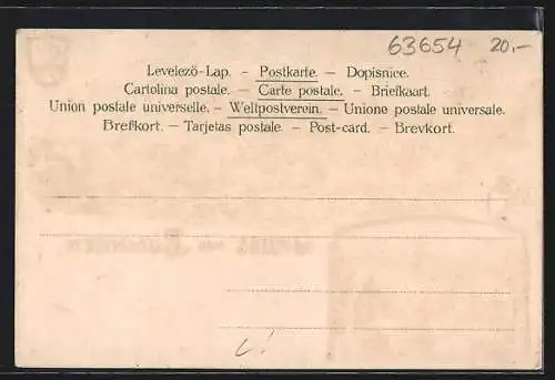 Lithographie Büdingen / Hessen, Gesamtansicht, Schloss, Wappen
