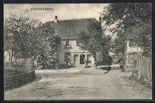 AK Steinenberg, Strassenpartie im Ort