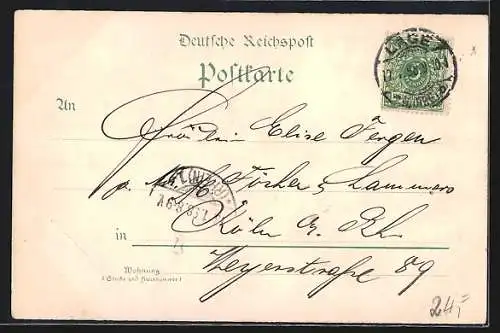 Lithographie Lage /Lippe, Hermann-Denkmal, Wilhelmsburg, Post, Rathaus, Kirche, Totalansicht