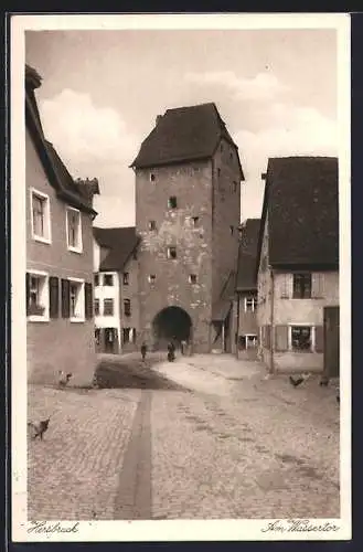 AK Hersbruck, am Wassertor