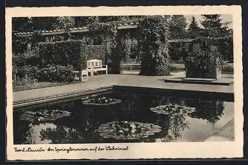 AK Forst /Lausitz, Am Springbrunnen auf der Wehrinsel
