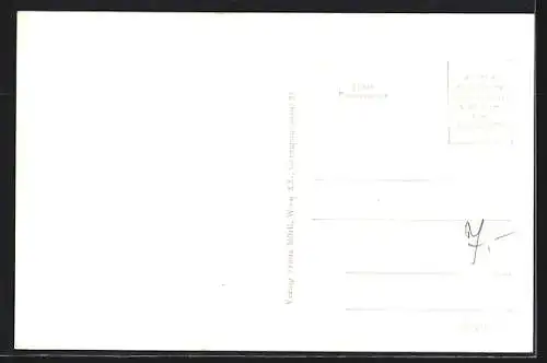 AK St. Veit /Mühlkreis, Ortspanorama mit Landstrasse und Feldern