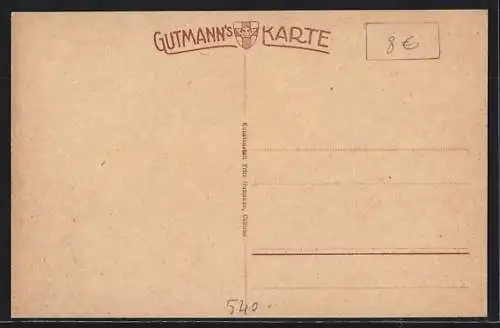 AK Pfaffendorf / Koblenz, Ortsansicht aus den Rheinanlagen