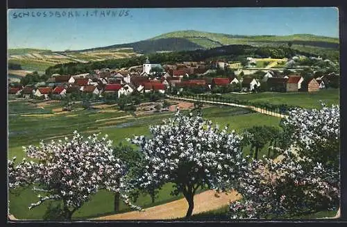 AK Schlossborn, Totalansicht