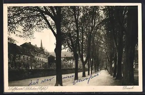 AK Schleiden, Strassenpartie