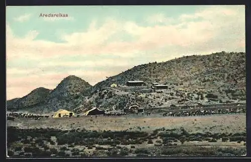 AK Aredareikas, Panorama