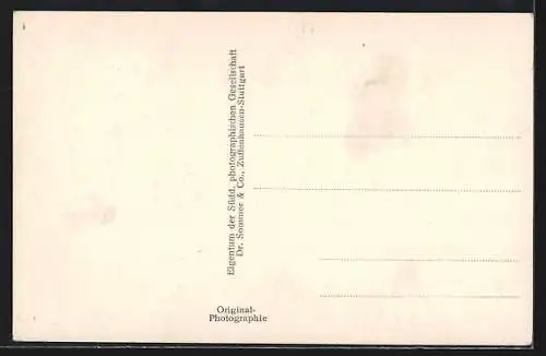 AK Heidelberg / Neckar, Das Ebertgrab, Grab von Friedrich Ebert auf dem Bergfriedhof