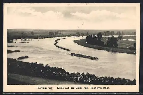 AK Tschicherzig, Blick auf die Oder vom Tschammerhof