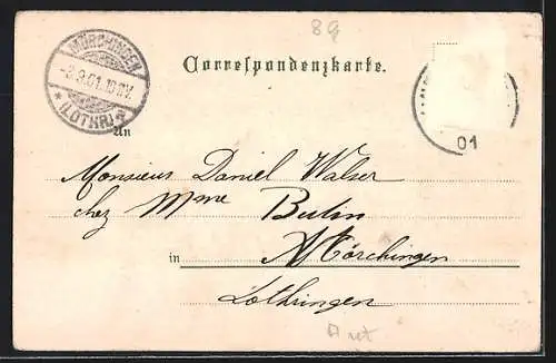 Lithographie Bregenz, Gesamtansicht mit singenden Fröschen am Bodensee