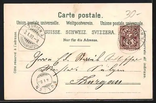 Lithographie Zürich, Teilansicht mit Kirche bei Mondschien, Neujahrsgruss