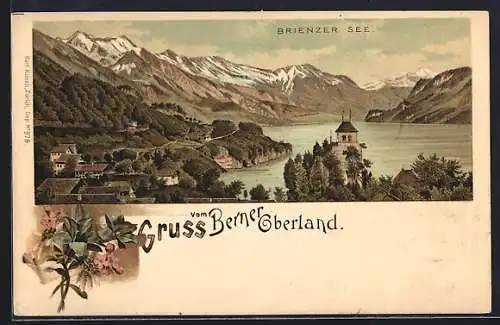 Lithographie Bern, Panorama vom Ort mit Blick auf den Brienzer See