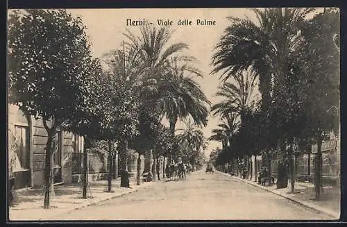 AK Nervi, Viale delle Palme