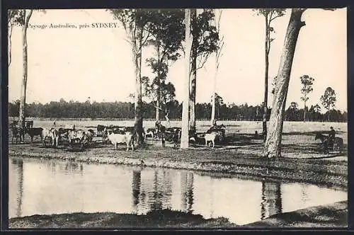 AK Sydney, Paysage Australien