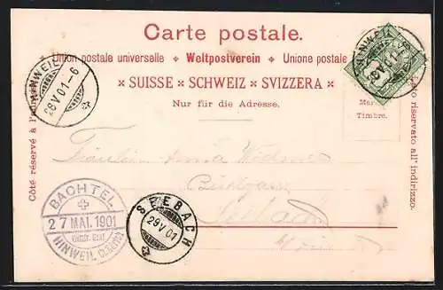Lithographie Hinwil, Gruss vom Bachtel und Bergpanorama