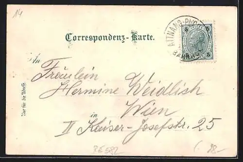 Lithographie Attnang-Puchheim, Ortsansichten von oben, Strassenpartie in Attnang