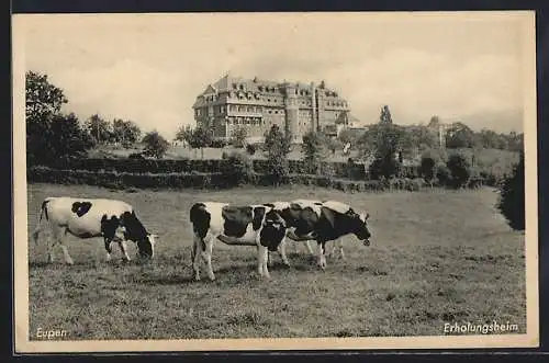 AK Eupen, Sanatorium mit Kühen