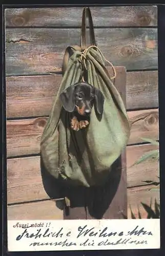 AK Jagdstillleben mit Dackel im Jägerrucksack