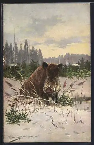 Künstler-AK M.Müller jun.: Wildschwein auf einer Lichtung