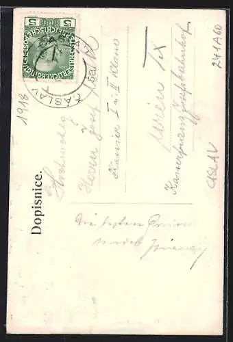 AK Caslav, Kirchen, Denkmal und Strassenpartie